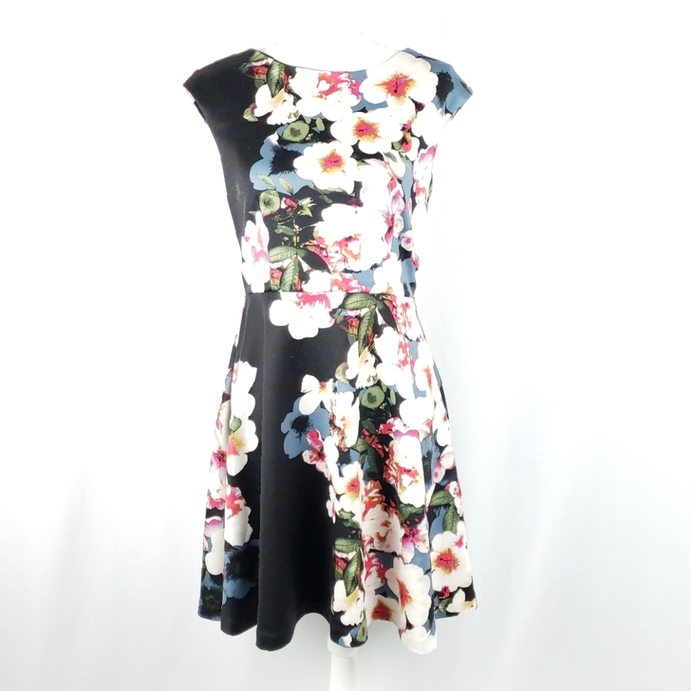 Heidi Weisel Floral Fit and Flare Dress Size 8